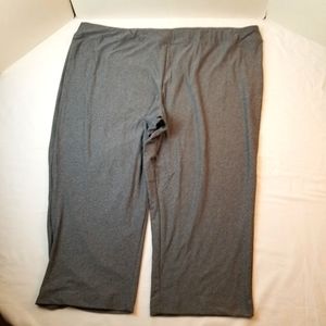 NWT Womens Terra & Sky Grey Jegging 4X